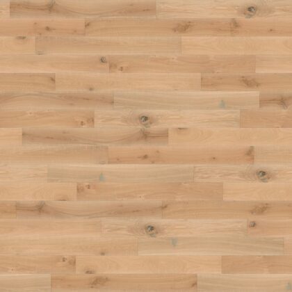 ESCO HARFA VINTAGE 005N Basecoat